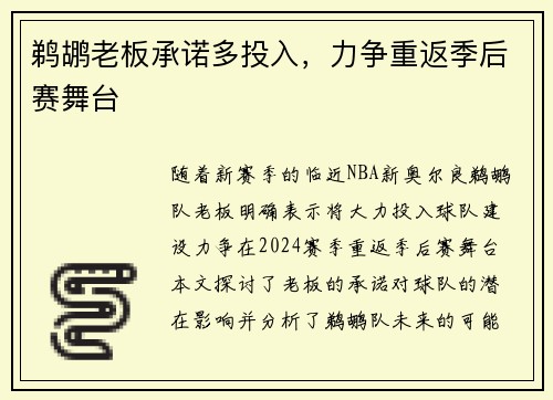 鹈鹕老板承诺多投入，力争重返季后赛舞台